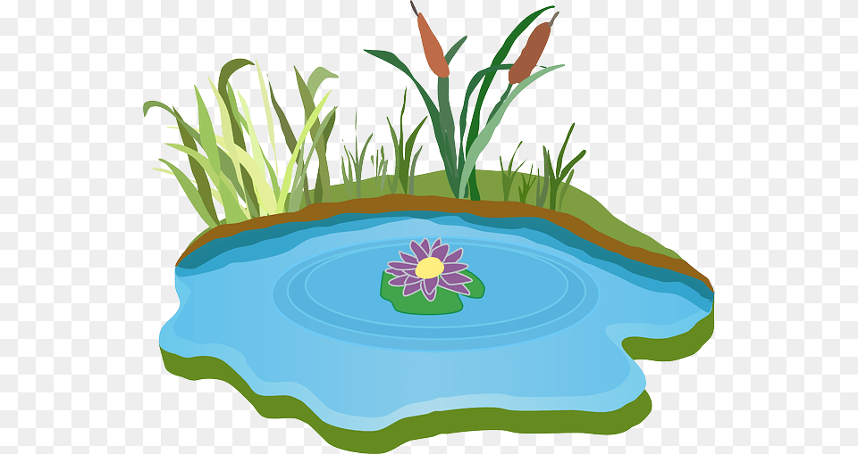 Lawn Clipart Pond Grass, Outdoors, Nature, Water, Art Png