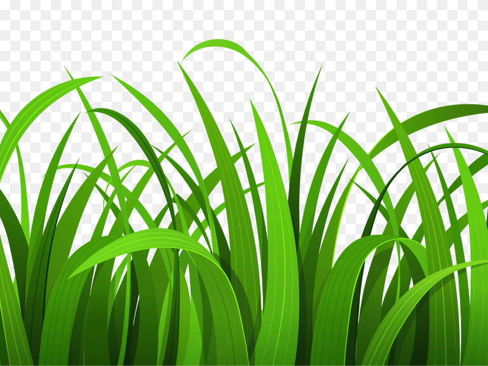 Lawn Cliparts Clip Art, Grass, Green, Plant, Vegetation Free Png Download