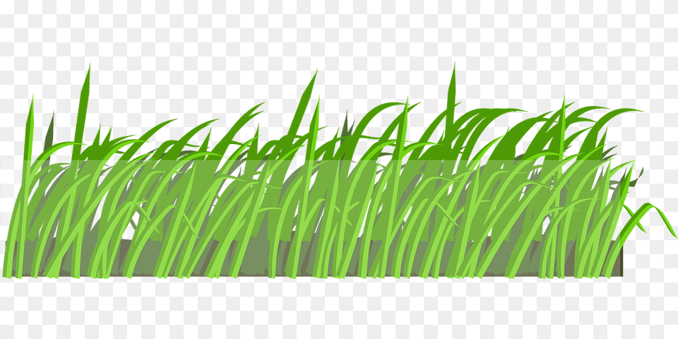 Lawn Field Grass Landscape Transparent Grass, Green, Plant, Vegetation, Aquatic Png Image