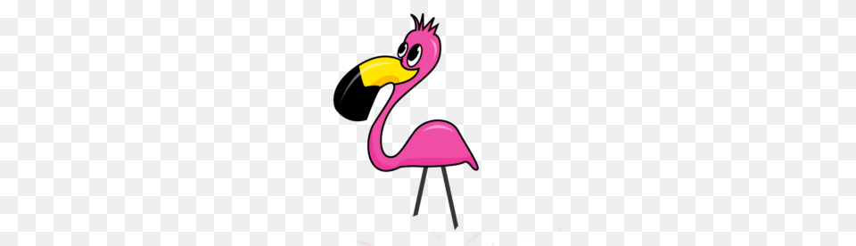 Lawn Flamingo Clipart Clipart, Animal, Bird, Beak Png