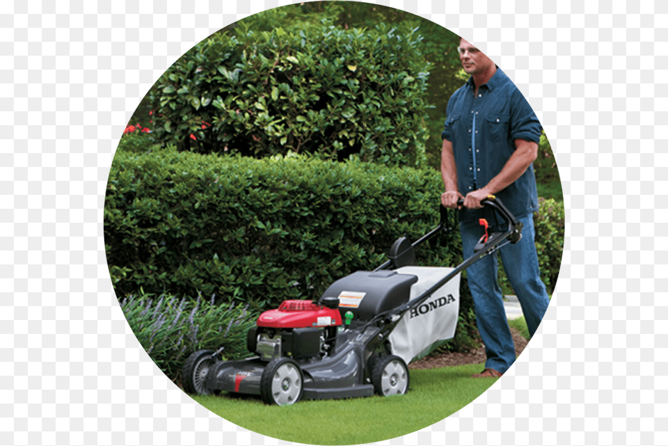Lawn Mower, Plant, Grass, Adult, Person Free Png Download