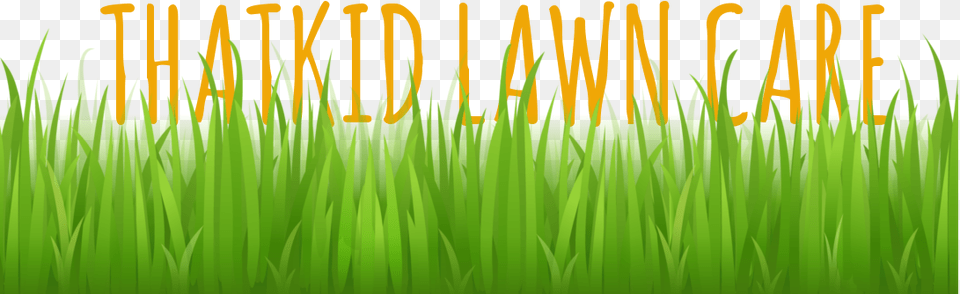 Lawn Mowing Trimming Watering Edging Thatching Grass Vector, Green, Plant, Vegetation Png
