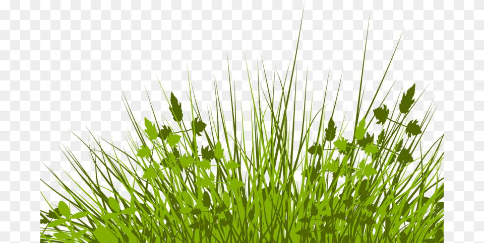 Lawn Royalty Free Stock Photography Illustration Klipart Trava, Grass, Green, Moss, Plant Png