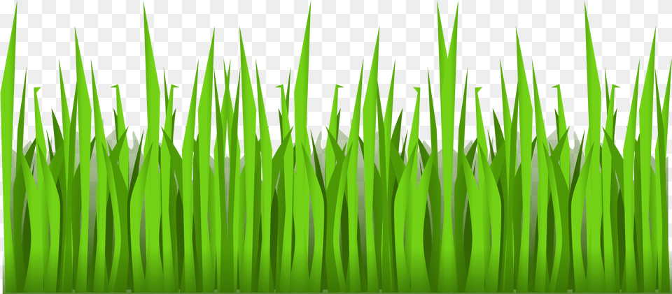 Lawn Vector Art Cartoon Grass, Green, Plant, Vegetation Png