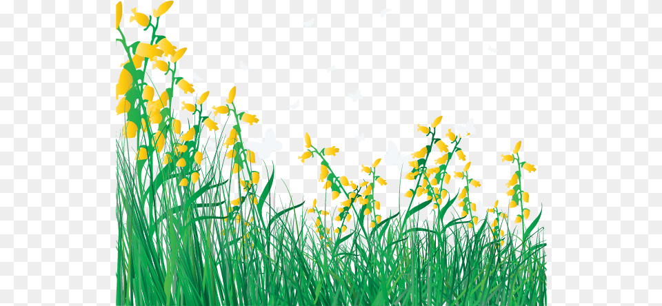 Lawn Vector Grass Flower Cartoon Flowers And Grass, Green, Plant, Petal, Daffodil Free Png Download