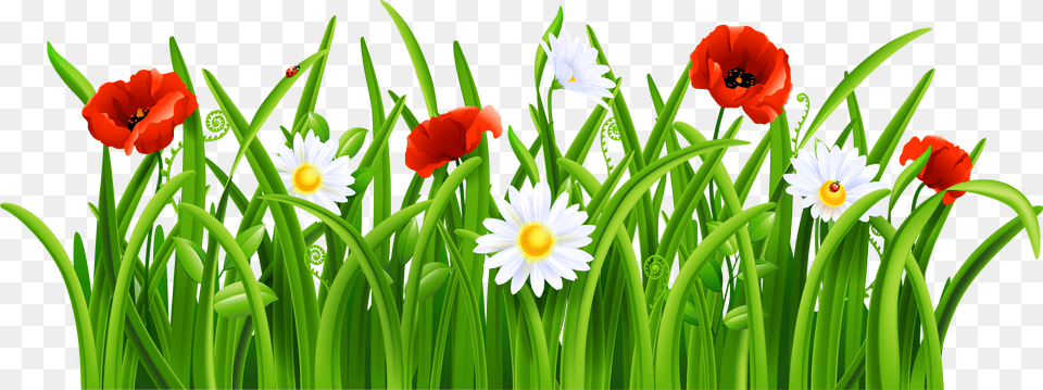 Lawn Vector Patch Grass Grass And Flower Png