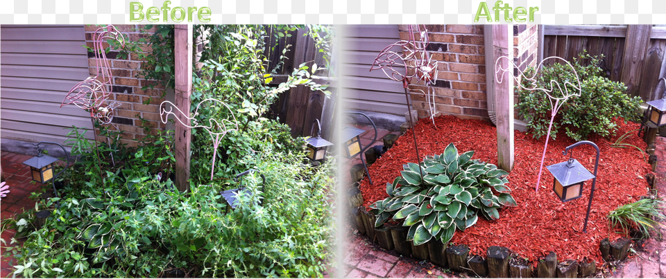 Lawnserve Of Ar Mulch Before And After Flower Bed Mulch Before And After, Backyard, Plant, Outdoors, Nature Png Image