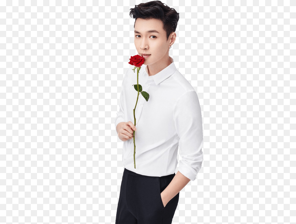 Lay, Smelling, Rose, Face, Flower Free Png Download