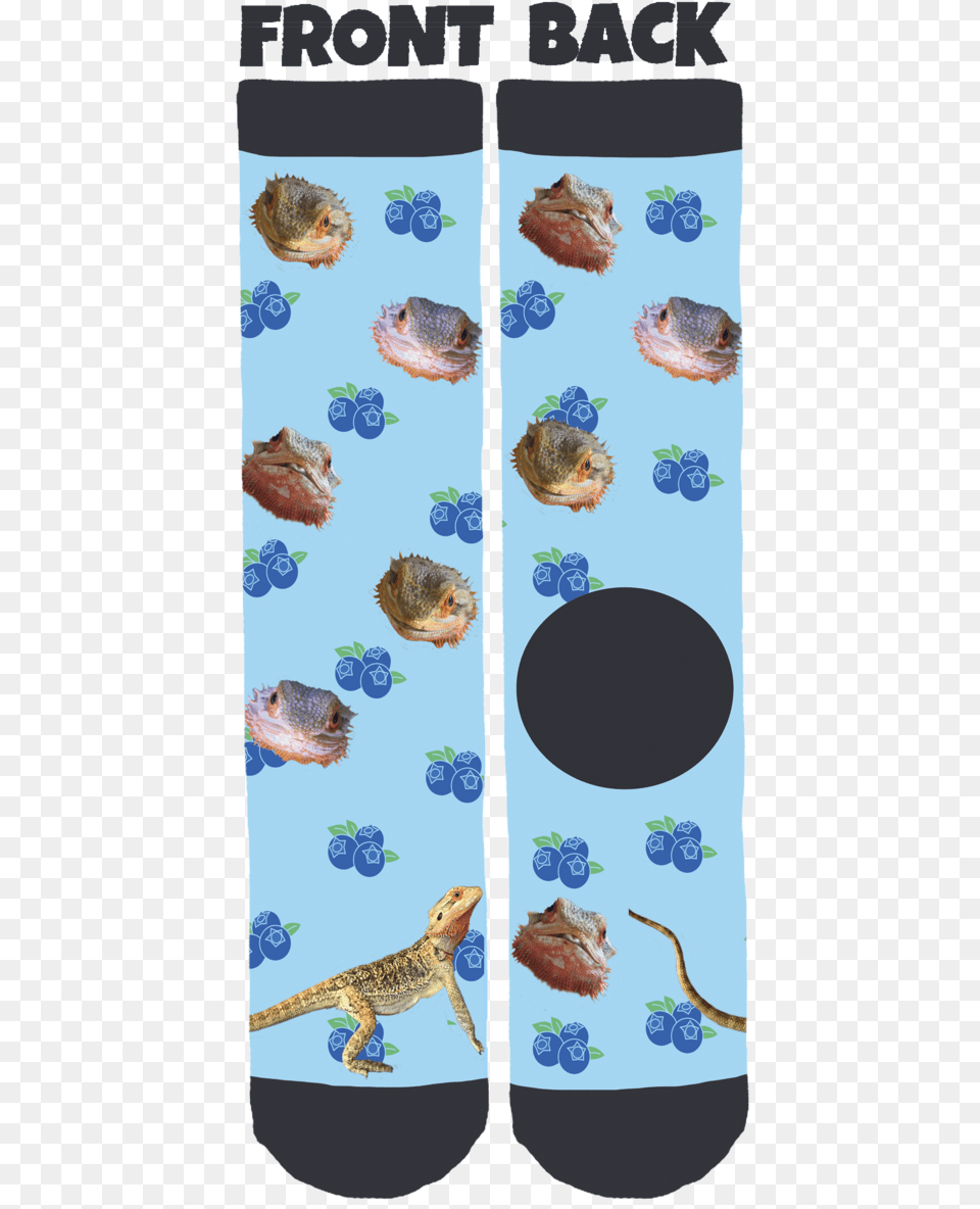 Lazy Game Reviews Socks, Animal, Lizard, Reptile, Gecko Free Png