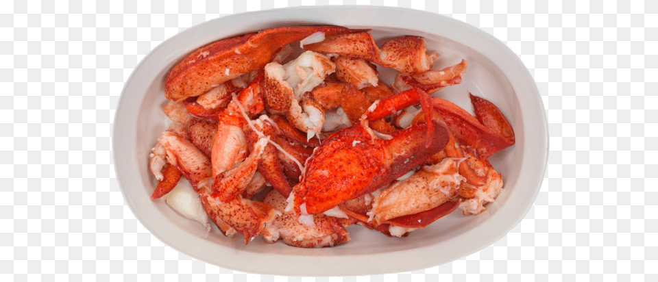 Lbs Lobster Meat, Animal, Food, Invertebrate, Sea Life Free Png