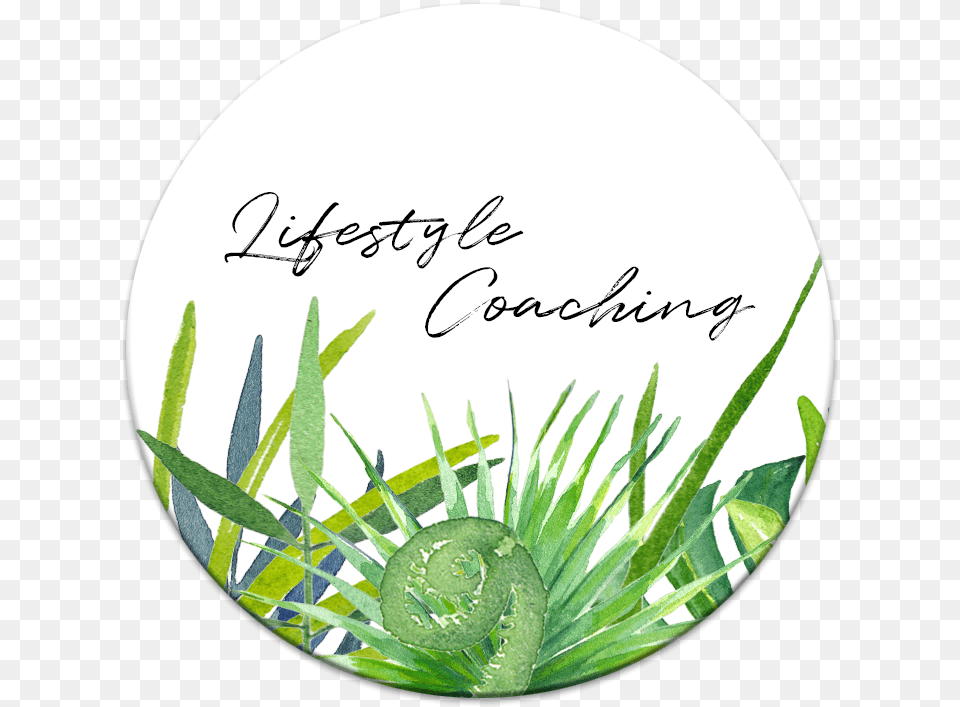 Lc Circle, Grass, Plant, Photography, Green Free Transparent Png