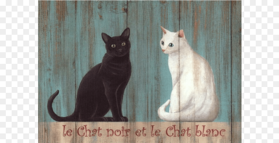 Le Chat Noir Et Le Chat Blanc Padblocks Cats Key Holder, Animal, Cat, Mammal, Pet Png