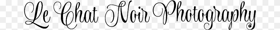 Le Chat Noir Photography Calligraphy, Gray, Lighting Free Transparent Png