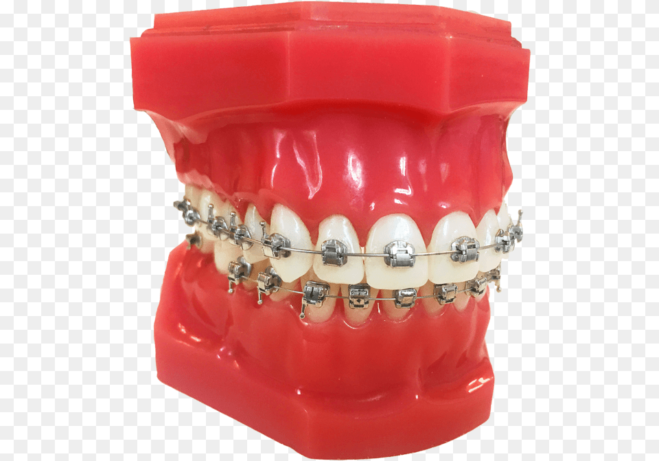 Le Genius Metal Plastic, Teeth, Person, Mouth, Head Png Image