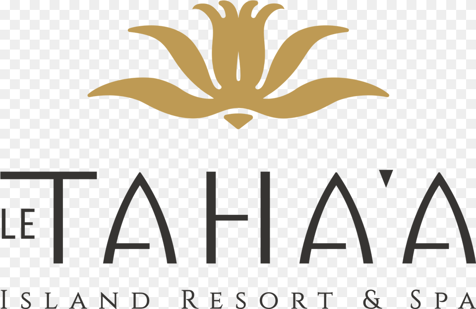Le Taha A, Logo, Animal, Fish, Sea Life Free Transparent Png