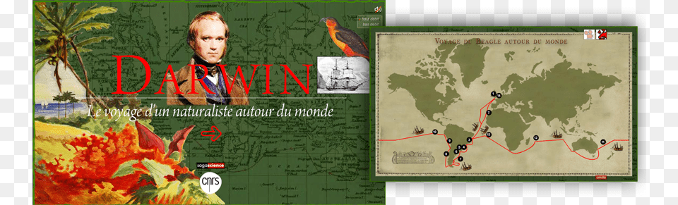 Le Voyage De Darwin Framed Poster World Map Contemporary, Publication, Book, Baby, Person Png
