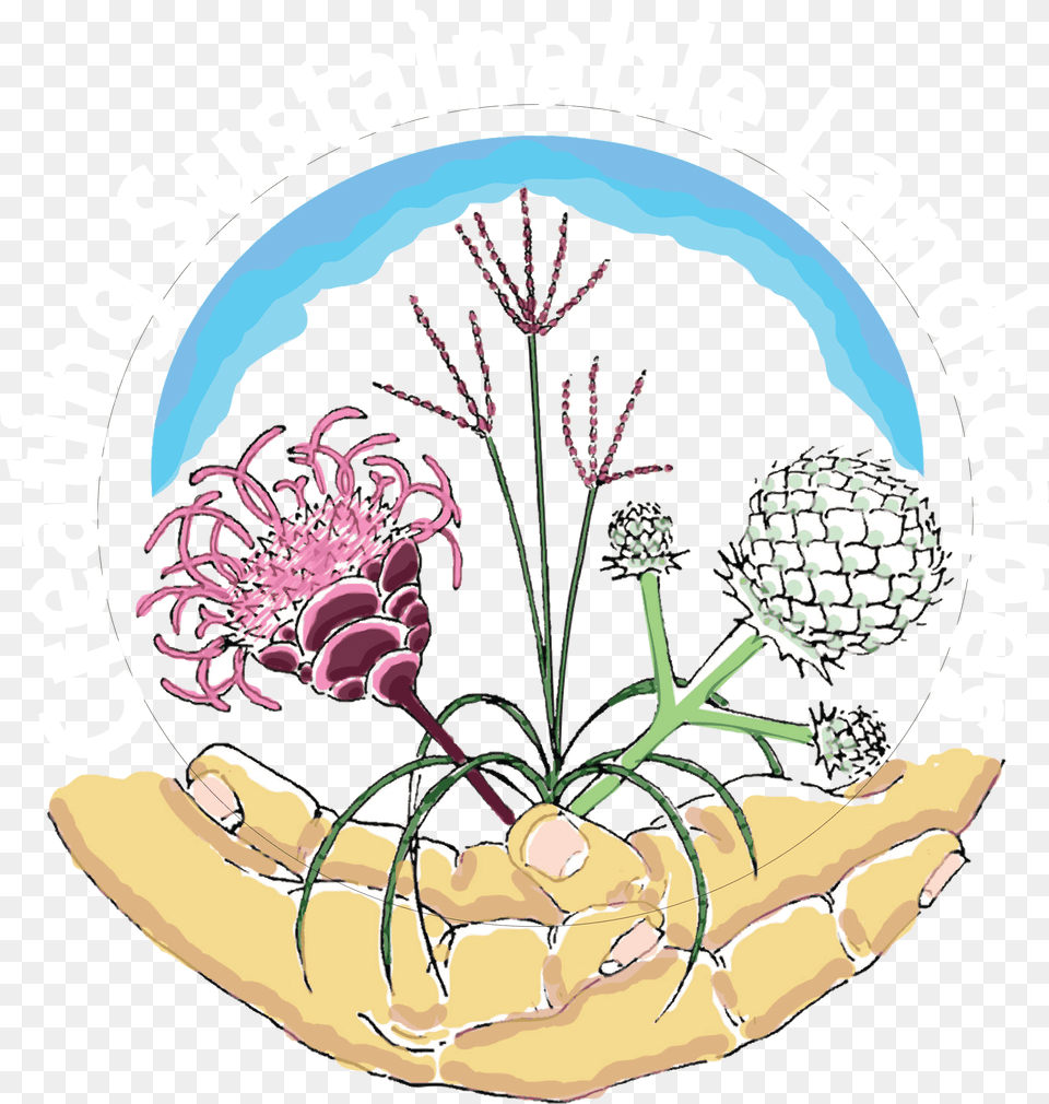 Lead Drawing Foxglove Flower Illustration, Plant, Art, Food, Fruit Free Transparent Png