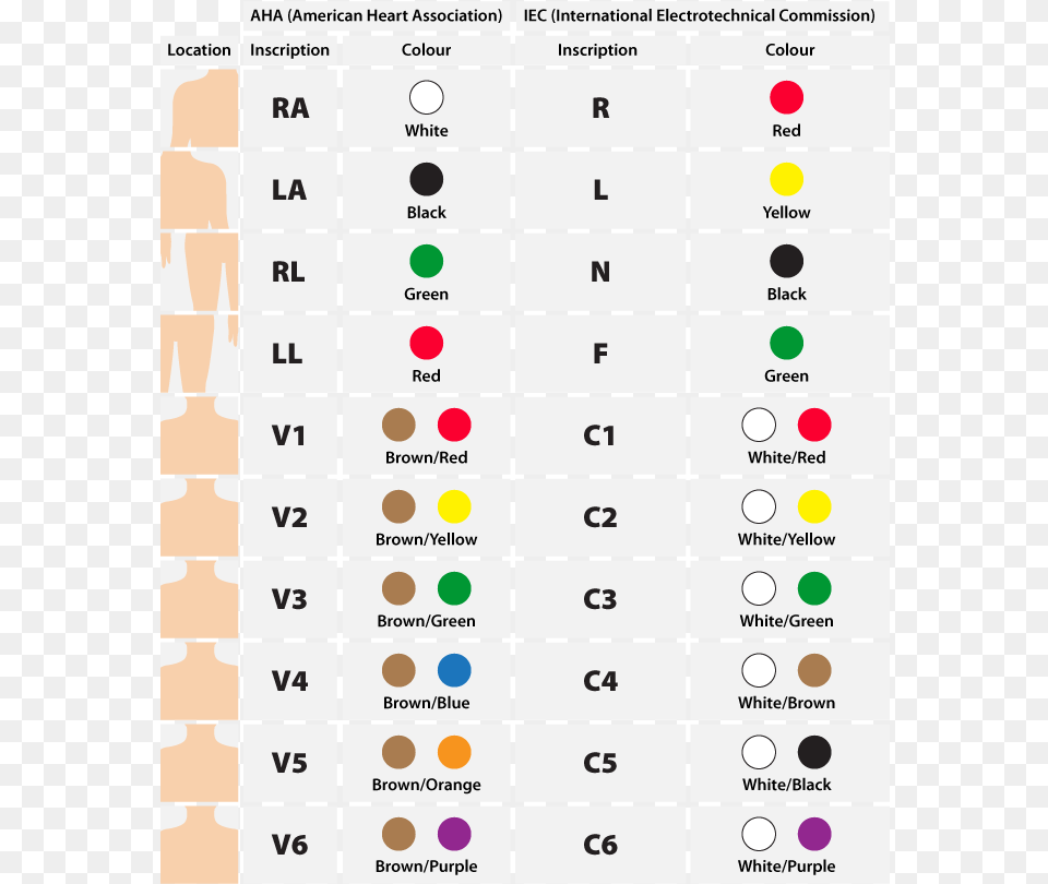 Lead Ecg Placement, Electronics, Mobile Phone, Phone, Text Free Png