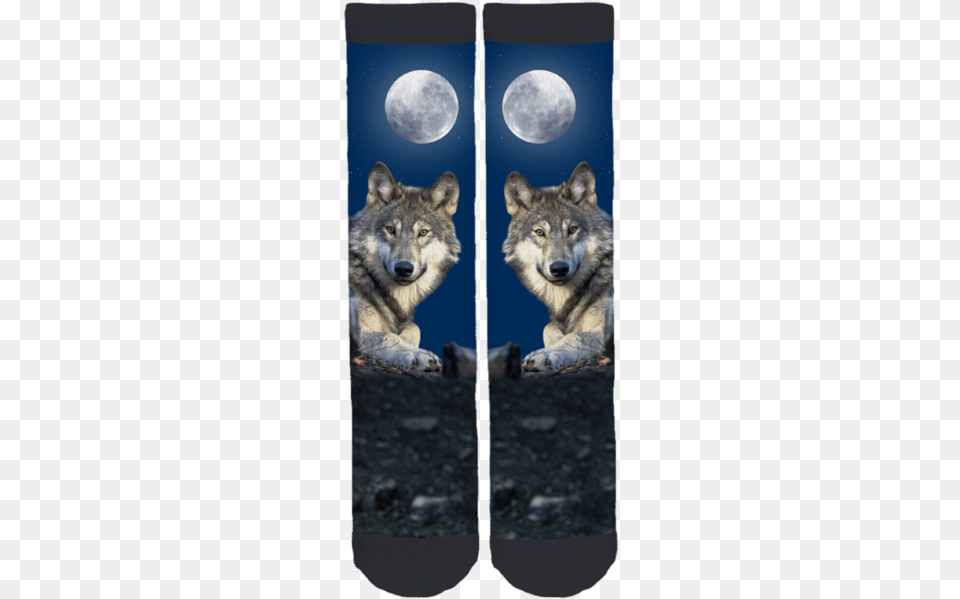 Leader Of The Wolfpack Crew Socks Gray Wolf, Animal, Outdoors, Night, Nature Free Transparent Png