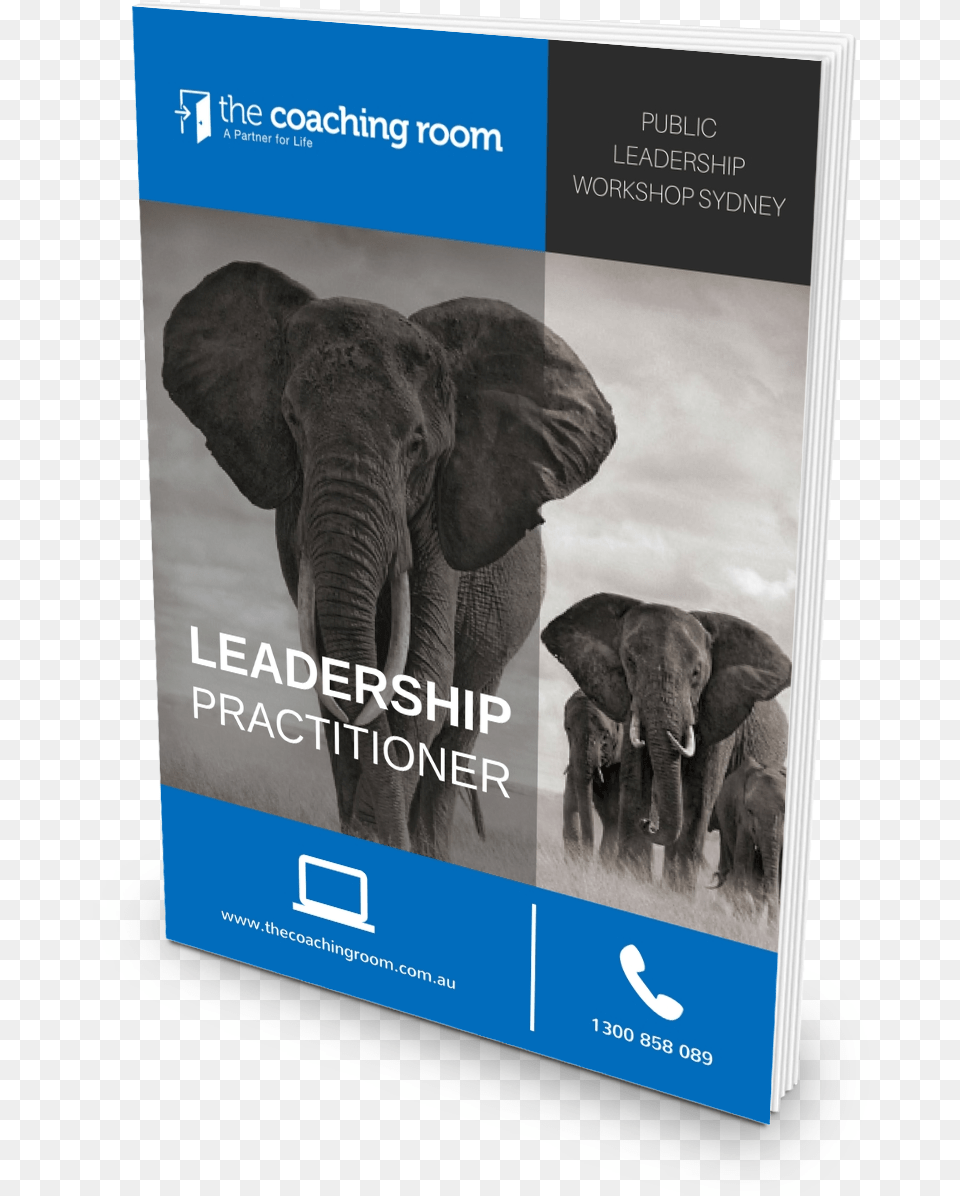 Leadership Practitioner Cover African Elephant, Animal, Mammal, Wildlife Png