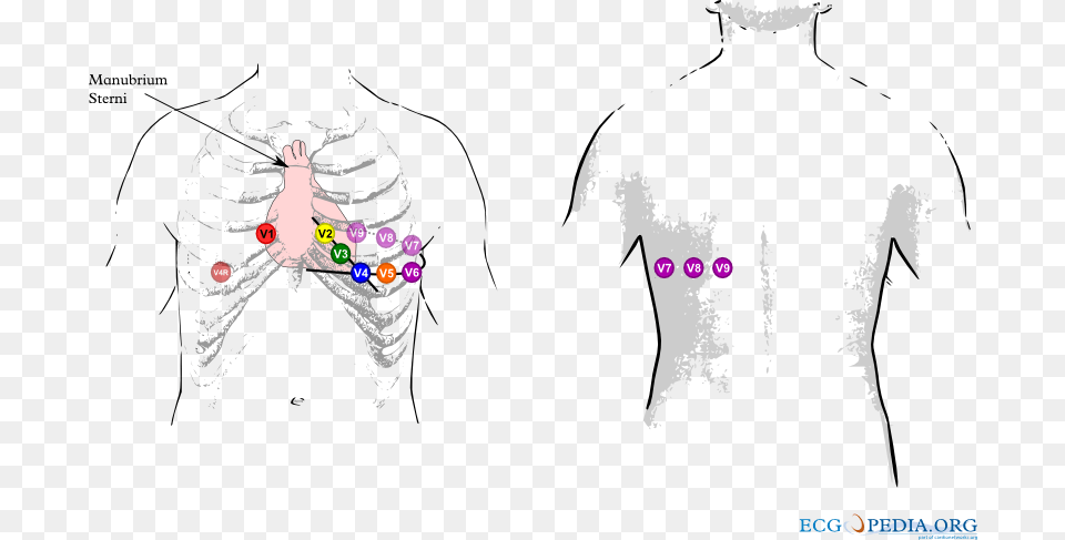 Leads V7, Head, Body Part, Face, Neck Free Png Download