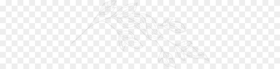 Leaf 1 04 04 Sketch, Gray Free Png