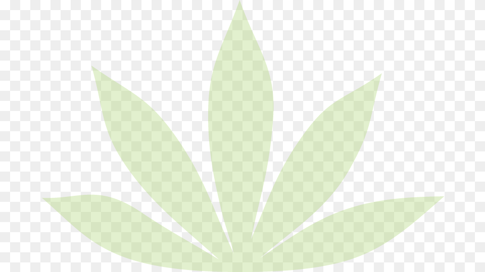 Leaf, Plant, Weed, Animal, Fish Png