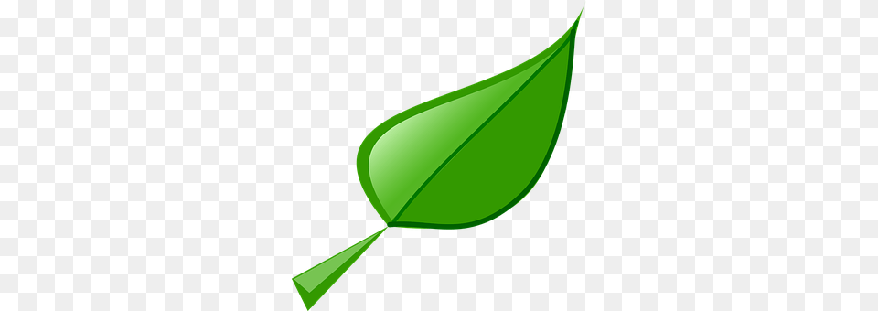 Leaf Green, Plant Free Transparent Png
