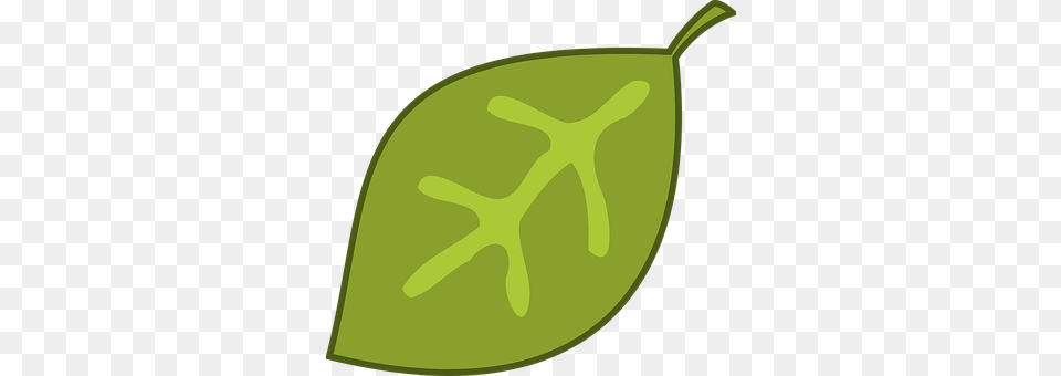 Leaf Plant, Food, Fruit, Produce Png