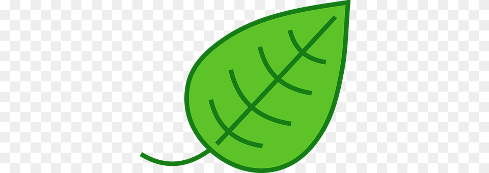 Leaf Plant, Disk Png