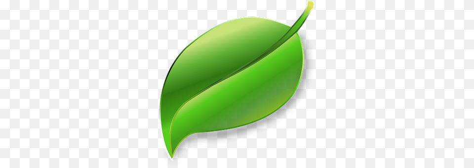 Leaf Green, Plant, Food, Fruit Free Png Download