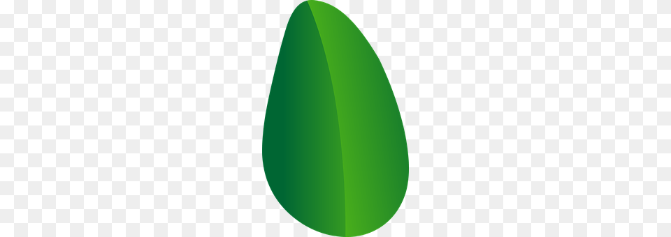 Leaf Plant, Disk Png