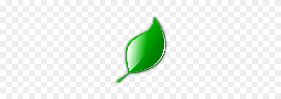 Leaf Green, Plant, Astronomy, Moon Png Image