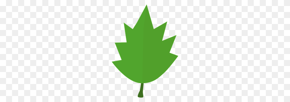 Leaf Plant Free Png