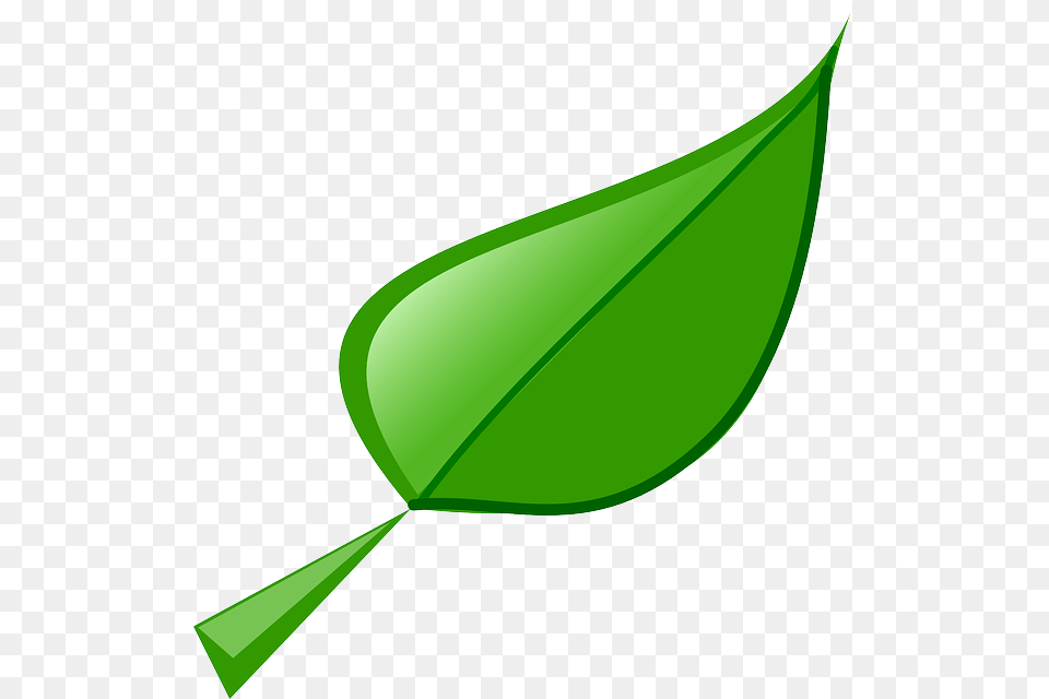 Leaf 2 Clip Art At Clkercom Vector Clip Art Online Leaf Clip Art, Green, Herbal, Herbs, Plant Free Transparent Png