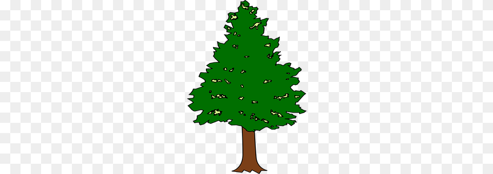 Leaf Tree, Plant, Green, Pine Free Png Download