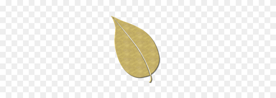 Leaf Plant, Flower Free Transparent Png