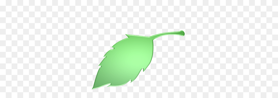 Leaf Plant, Herbs Png Image