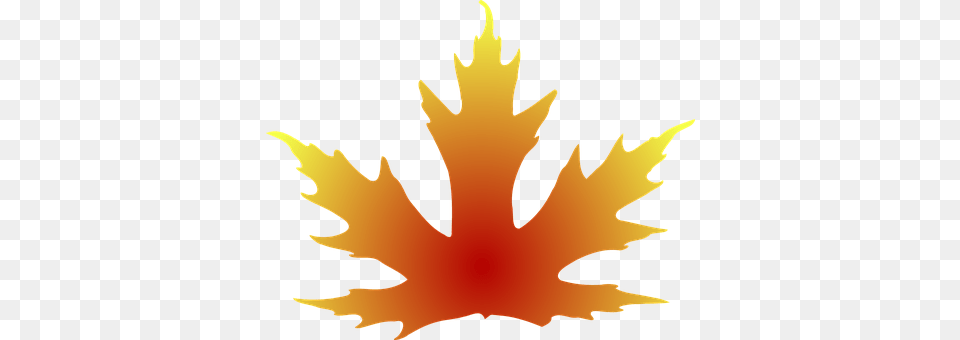 Leaf Plant, Maple Leaf, Tree Free Transparent Png