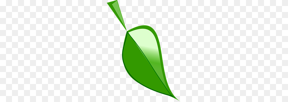 Leaf Plant, Green Free Png Download