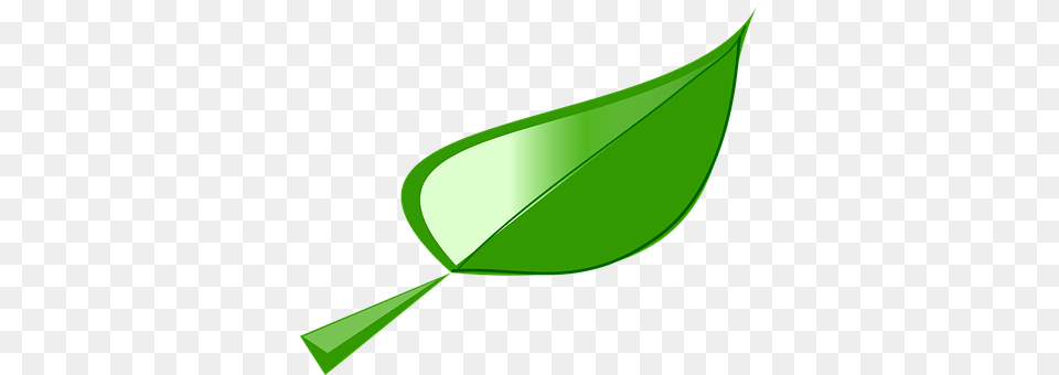 Leaf Plant, Green Png Image
