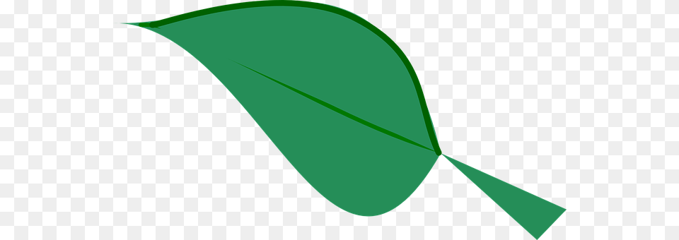 Leaf Plant, Green Free Transparent Png