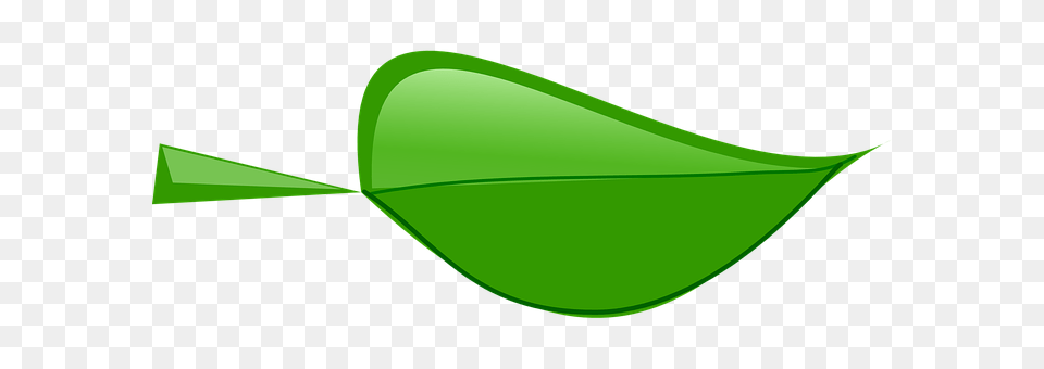 Leaf Plant Free Transparent Png