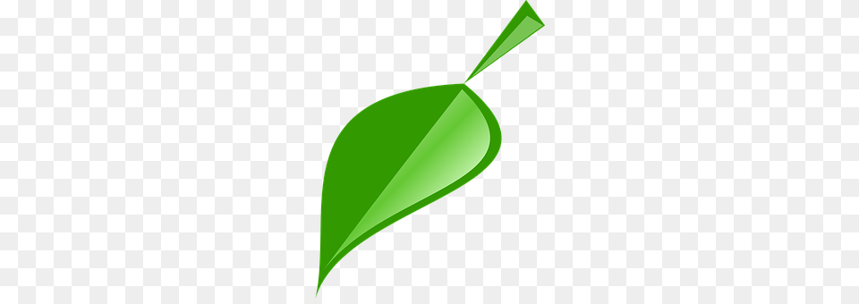 Leaf Plant, Green Free Png