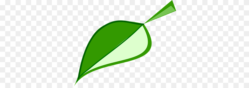 Leaf Plant, Green Free Png Download