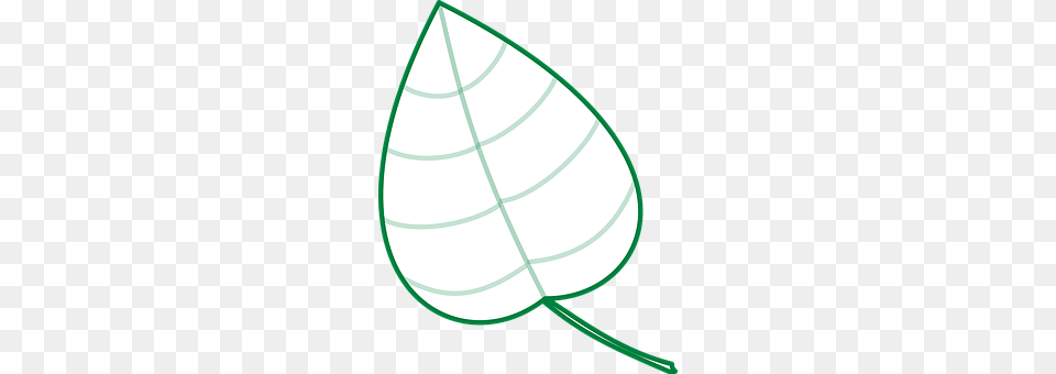 Leaf Plant Png
