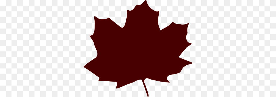 Leaf Maple Leaf, Plant, Tree, Person Free Transparent Png