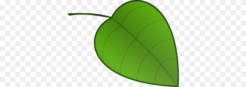 Leaf Plant, Green Free Png
