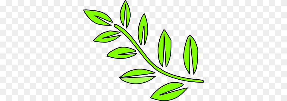 Leaf Plant, Herbs, Green, Herbal Png Image