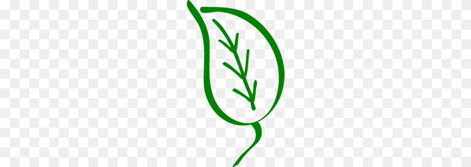 Leaf Green, Herbal, Herbs, Plant Free Png